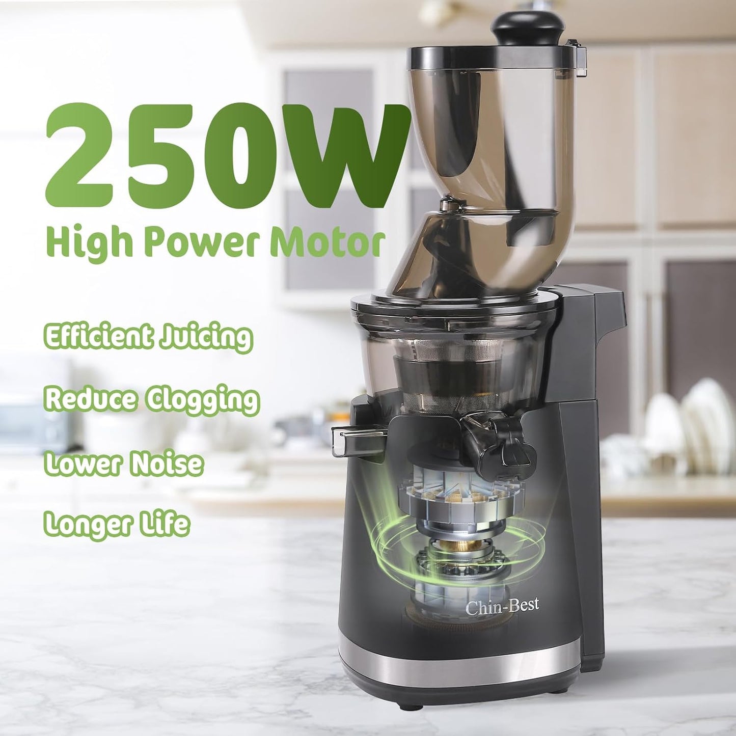 Chin-Best 250 Watt High Power Juicer - Cold Press Masticating Juicer- Slow Juicer Machines Extract More and Better Juice from a Lot of Fruits and