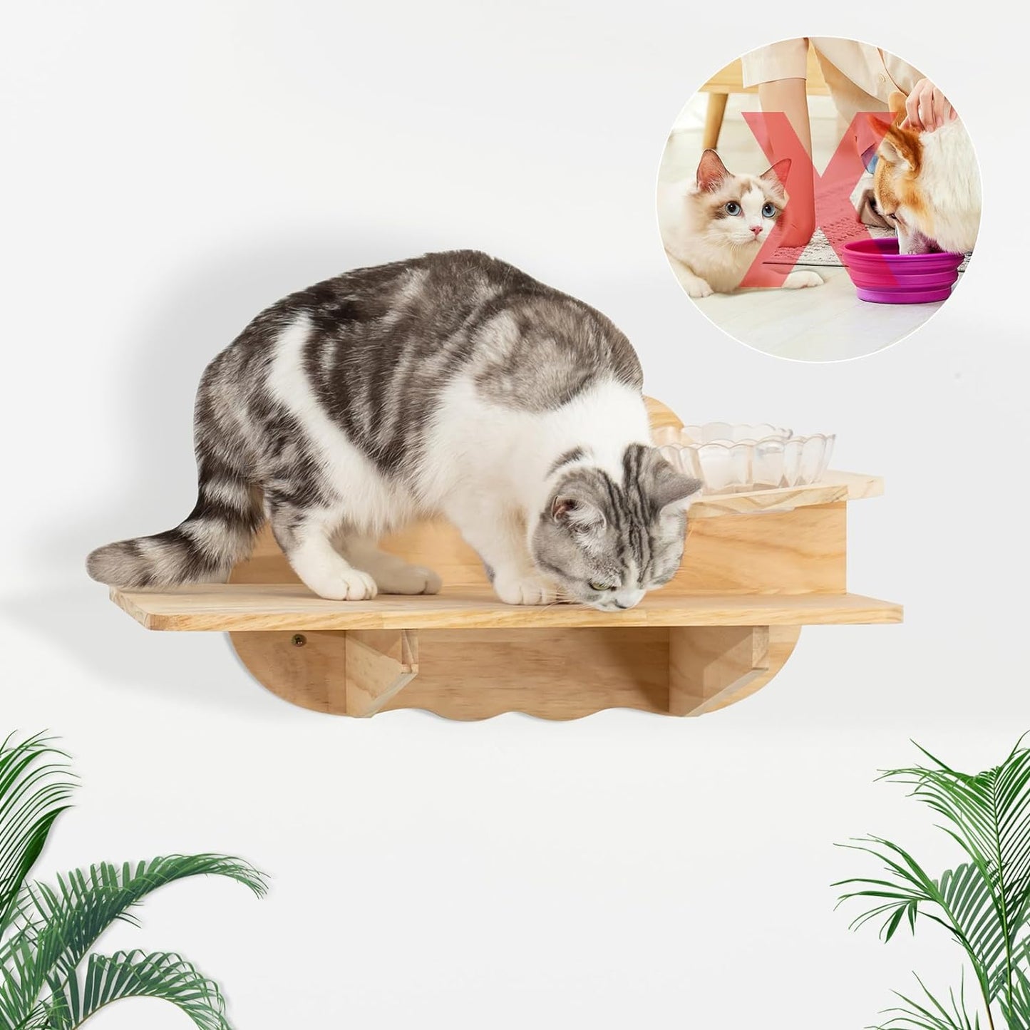 Hexagonal Cat Wall Shelves for Refined Feline, Set of 10 Cat Wall Furniture with Feeding Shelf