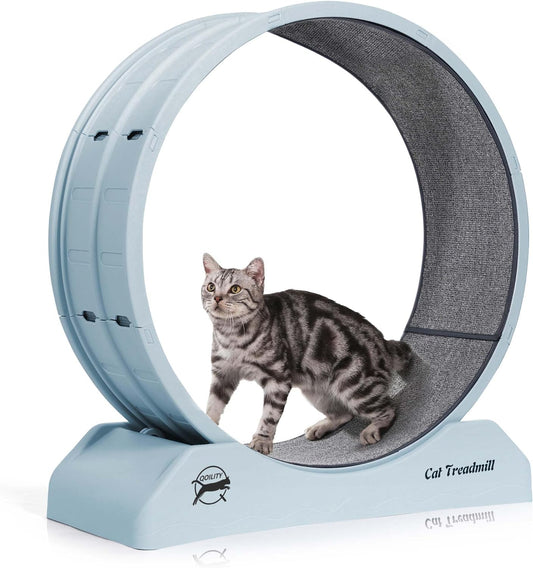 Cat Wheel - Easy to Install Cat Wheels for Indoor Cats, Promotes Fitness and Health - Suitable for Most Cats - Black
