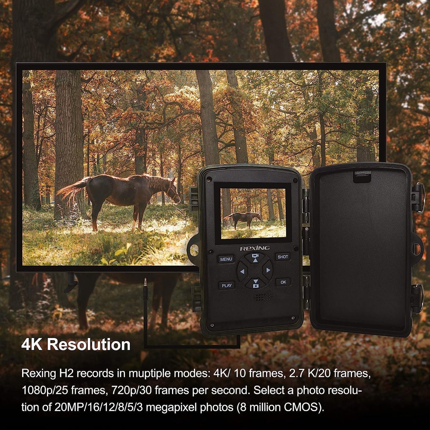 RexingUSA Woodlens H2-4K Wi-Fi Trail Camera, 20MP CMOS Motion Sensor, Ultra Night Vision, 512GB, AV Output, 12-Month Standby, for Hunting and Wildlife Monitoring