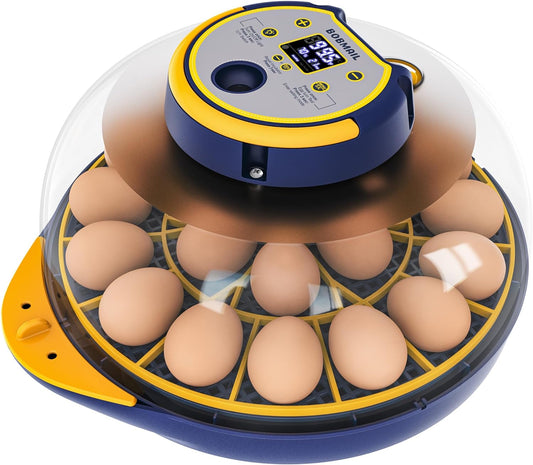 Egg Incubator for Hatching Chickens, Incubator with Automatic Egg Turning and Humidity Control, Hold 21 Chicken Eggs