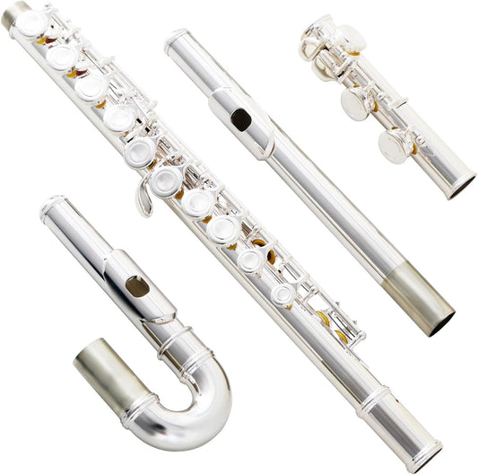 EASTROCK Silver Plated C Flute Closed Hole 16 Keys Flute Instrument with Curved Head Joint Mouthpiece Replacement,Cleaning Kit,Stand,Carrying Case,Gloves,Tuni
