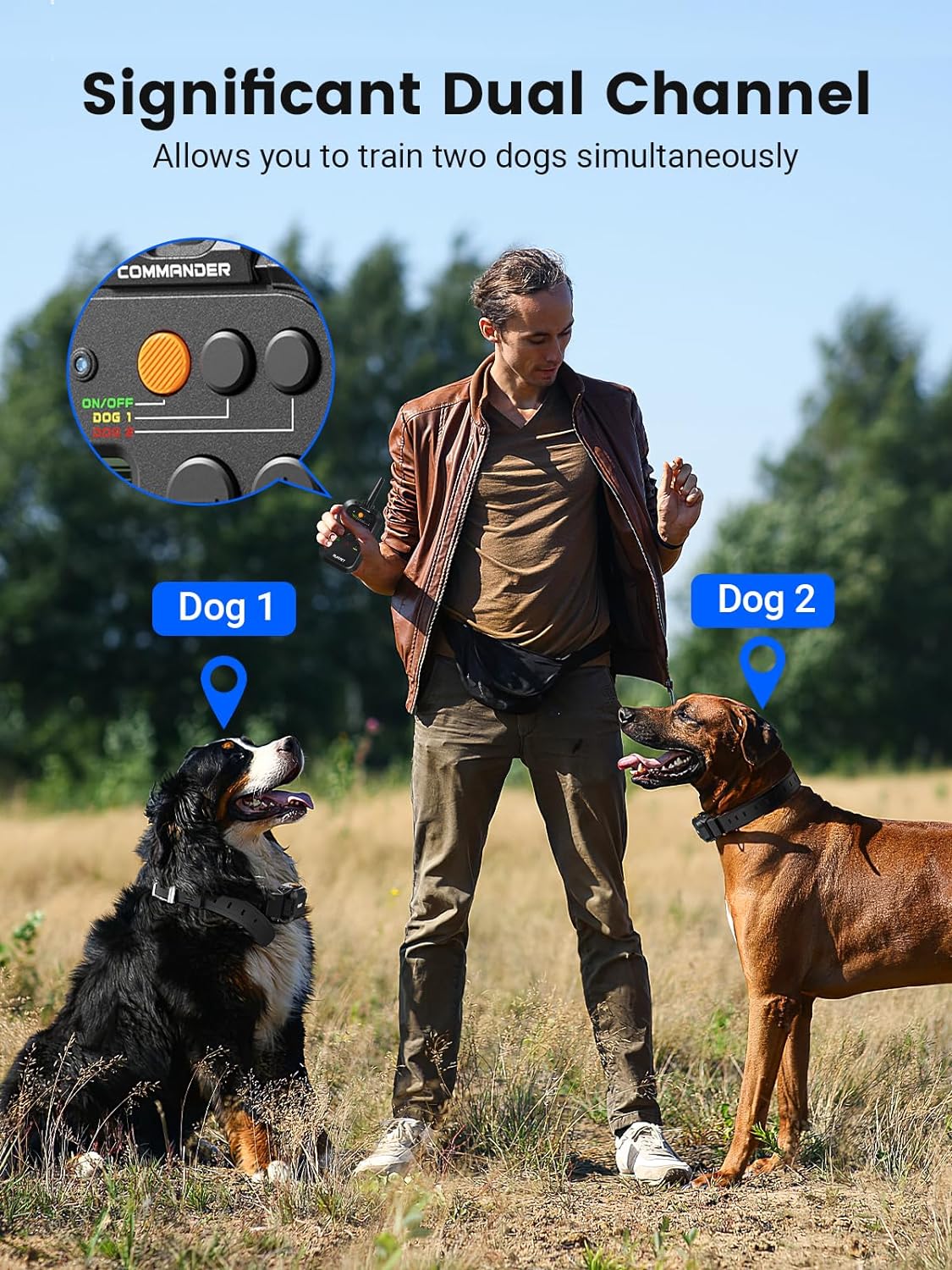 PLAYPET Dog Training Collar, 2950FT Remote Dog Shock Collar for Small Medium Large Dogs, IPX7 Waterproof, Rechargeable Electric Shock Collar with 3 Training M